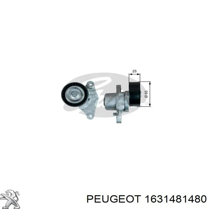 Tensor de la correa trapecial Peugeot/Citroen 1631481480 precio, desde 47,58 EUR