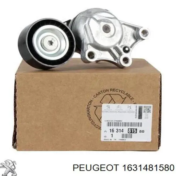 1631481580 Peugeot/Citroen tensor de correa, correa poli v