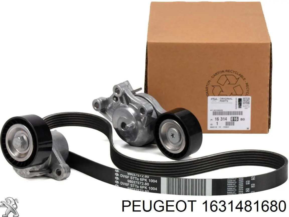 Comprar 1631481680 Peugeot/Citroen Correa de transmisión
