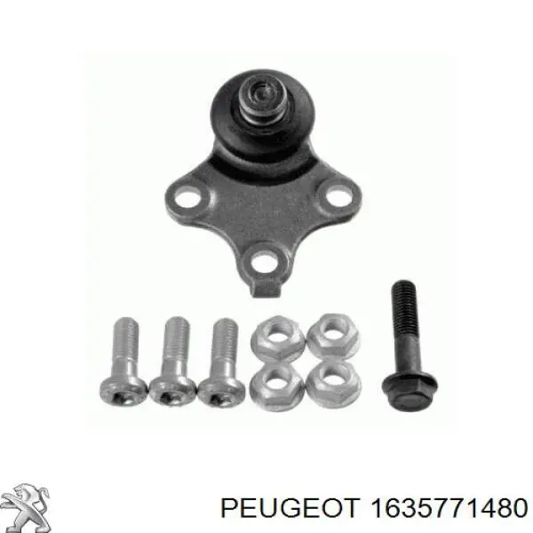 Rótula inferior de suspensión Peugeot/Citroen 1635771480 precio, desde 15,20 EUR