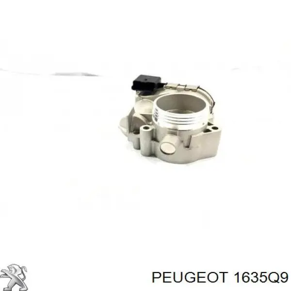 Comprar 1635Q9 Peugeot/Citroen Cuerpo de mariposa