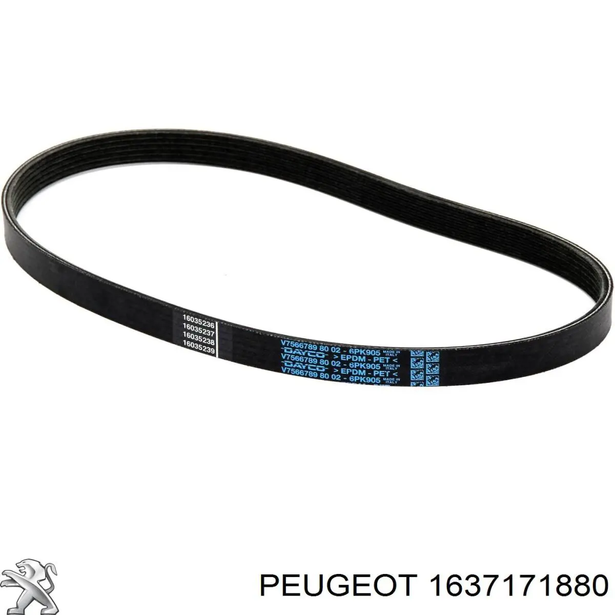 Bomba de agua BMW 1 F21