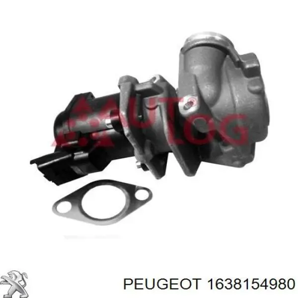 Válvula EGR 1638154980 Peugeot/Citroen