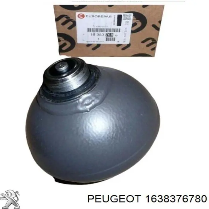  Peugeot/Citroen 1638376780