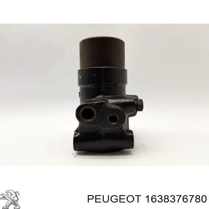 Esfera de amortiguación trasera 1638376780 Peugeot/Citroen
