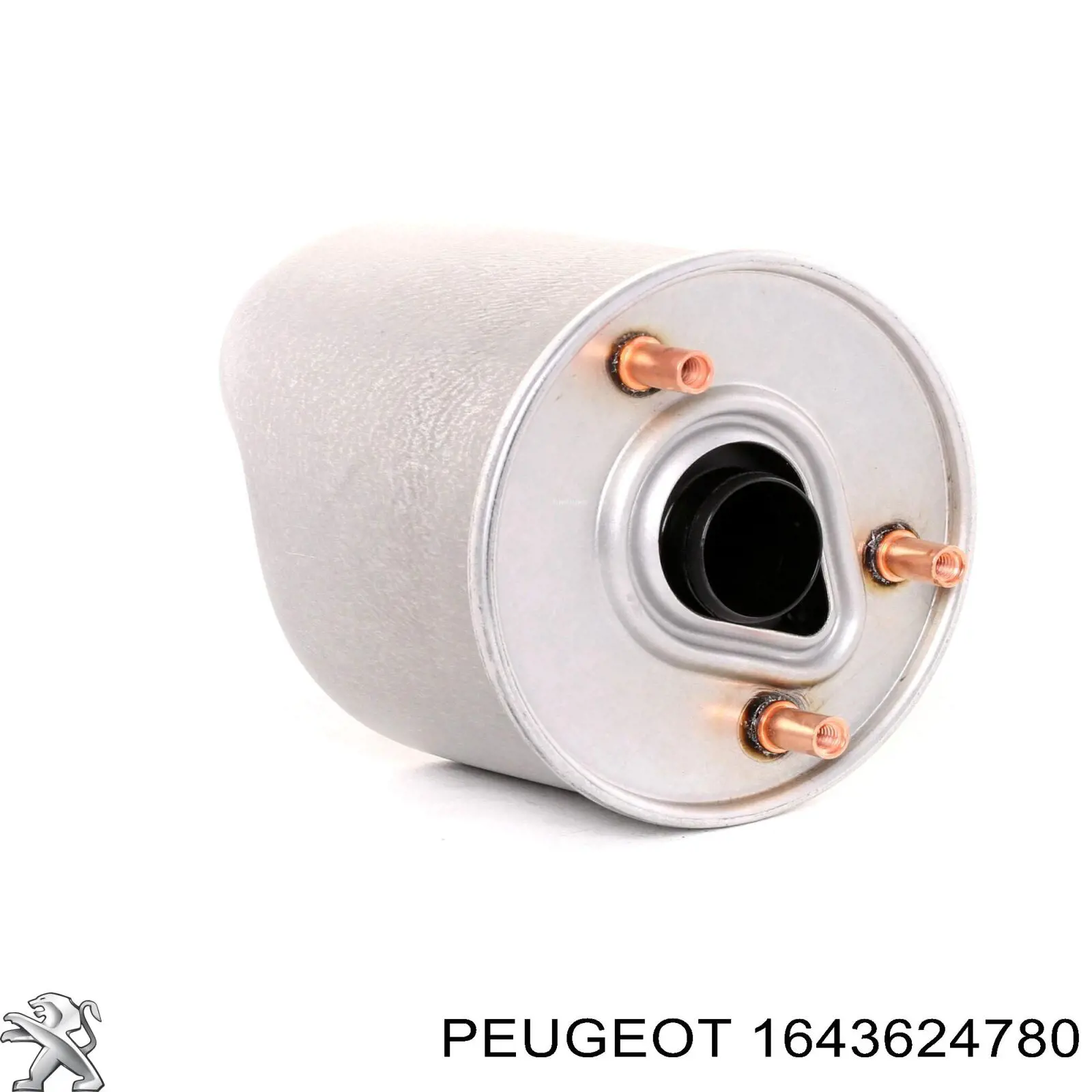 1643624780 Peugeot/Citroen filtro combustible