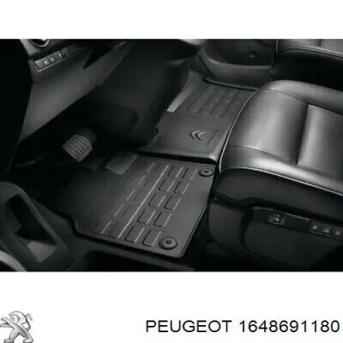 1648691180 Peugeot/Citroen 
