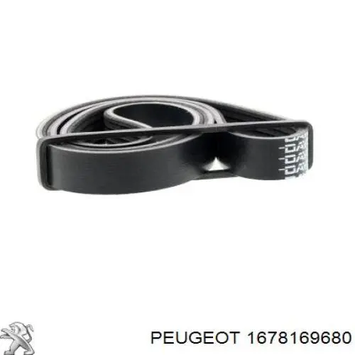 Correa de alternador 1678169680 Peugeot/Citroen