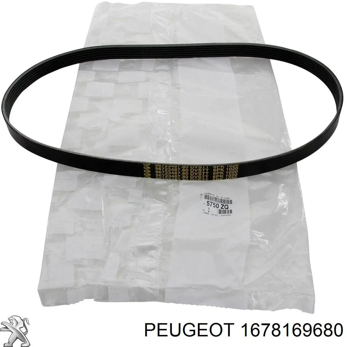 1678169680 Peugeot/Citroen Correa poly v