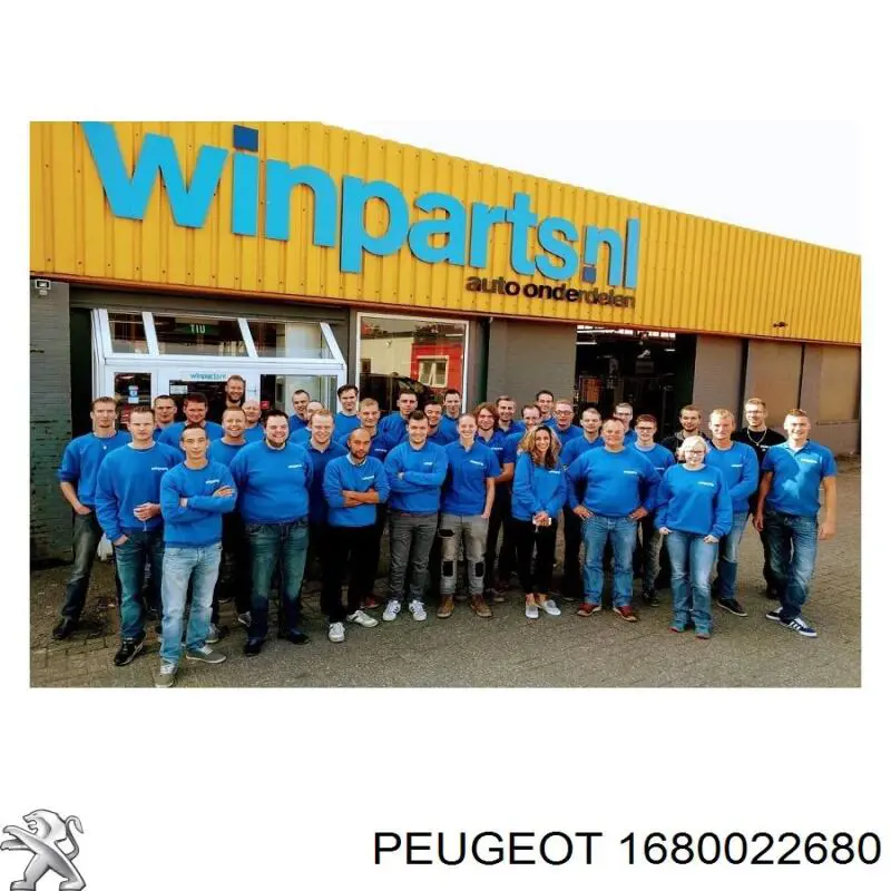 Piloto trasero izquierdo Peugeot/Citroen 1680022680 precio, desde 78,00 EUR