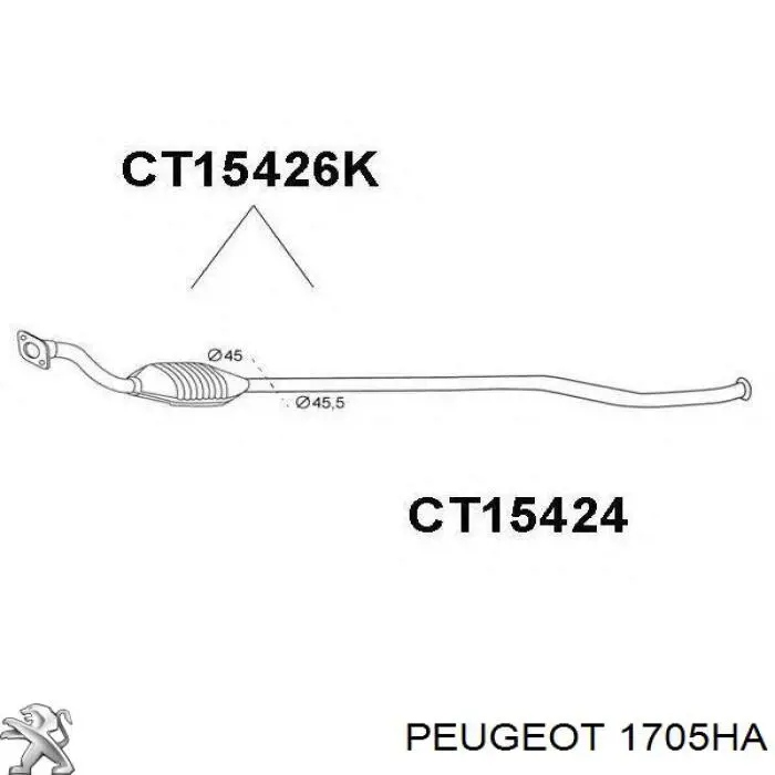 00001705SR Peugeot/Citroen