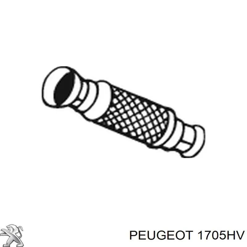 1607335580 Peugeot/Citroen tubo de admisión del silenciador de escape delantero