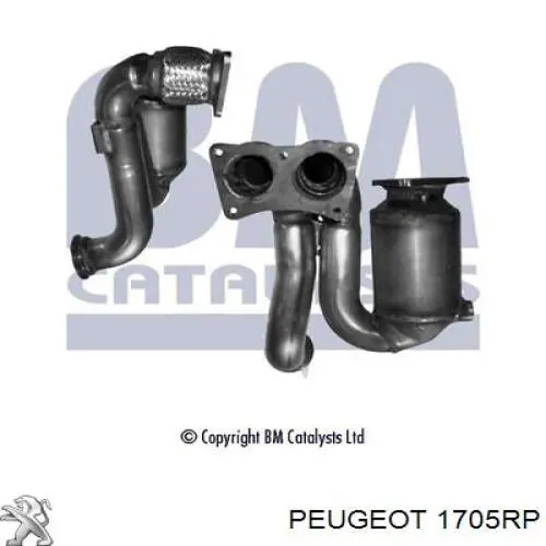 Comprar 1705RP Peugeot/Citroen Catalizador