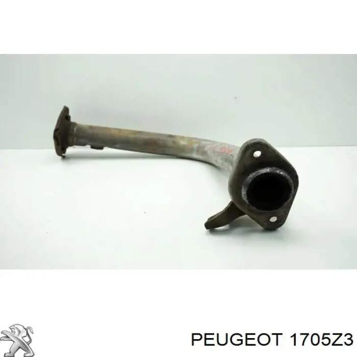 301285 Peugeot/Citroen tubo de admisión del silenciador de escape delantero