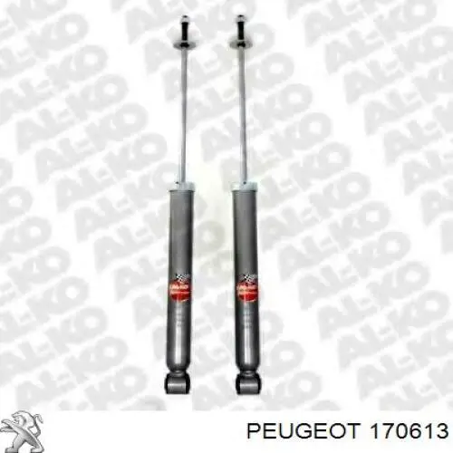 Comprar 170613 Peugeot/Citroen Catalizador