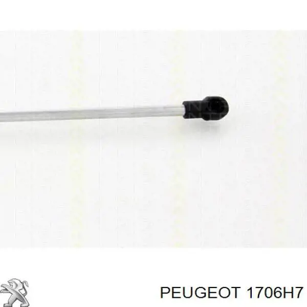 Fuelle de escape Peugeot/Citroen 170675