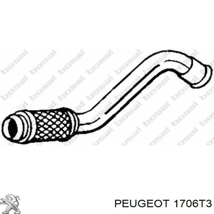 00001706Q6 Peugeot/Citroen