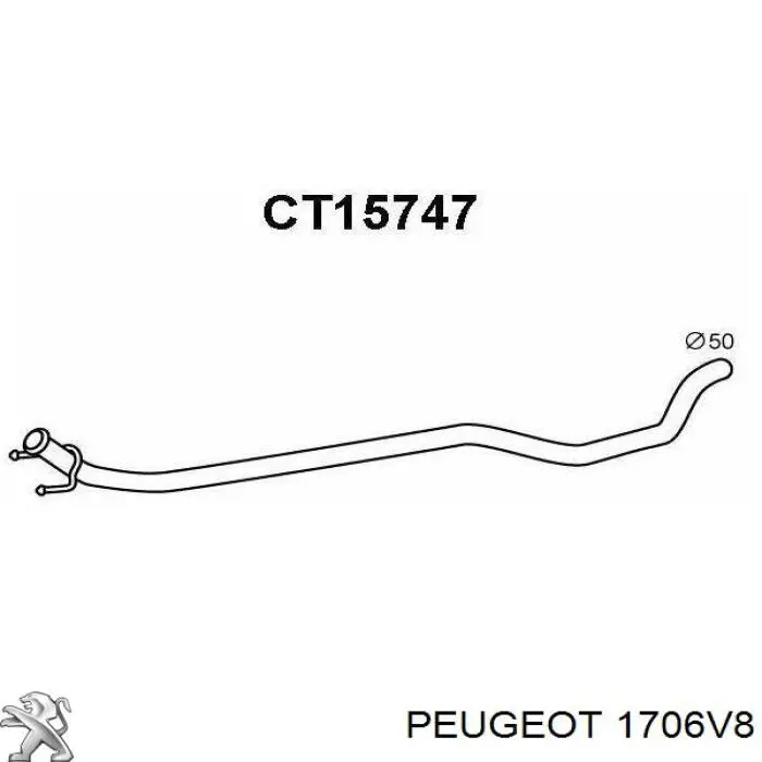 1706V8 Peugeot/Citroen