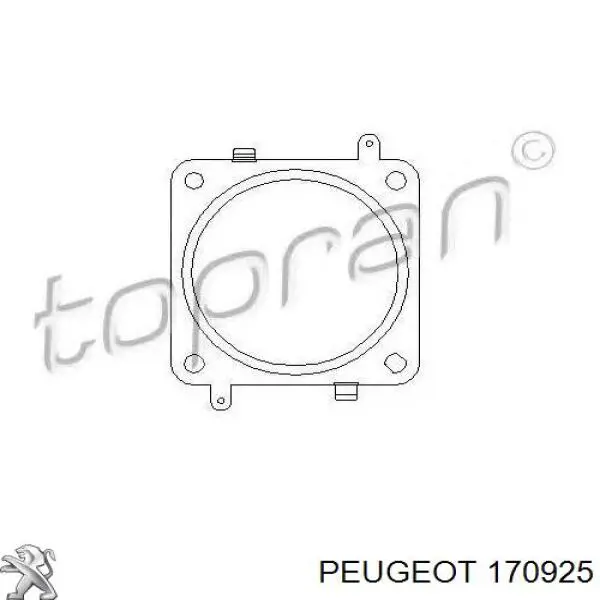 170925 Peugeot/Citroen junta, tubo de escape silenciador