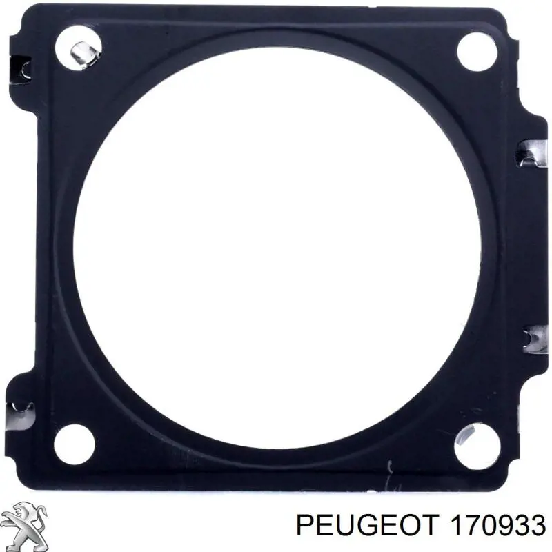 170933 Peugeot/Citroen junta, tubo de escape silenciador