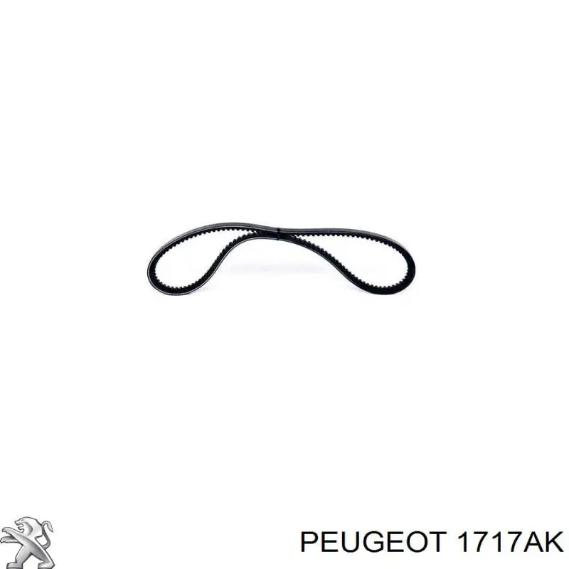 1717AK Peugeot/Citroen silenciador del medio
