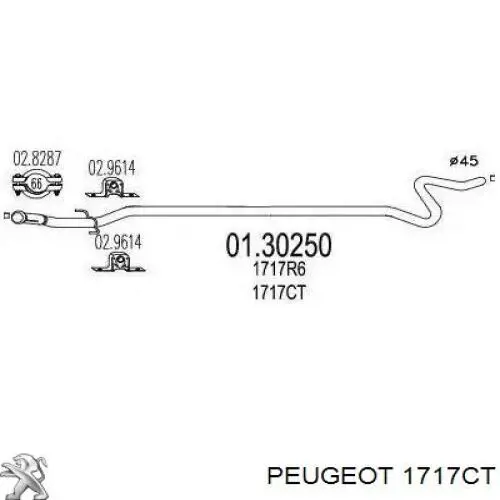 1607335480 Peugeot/Citroen Silenciador central