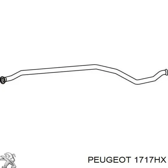 1717HX Peugeot/Citroen silenciador del medio