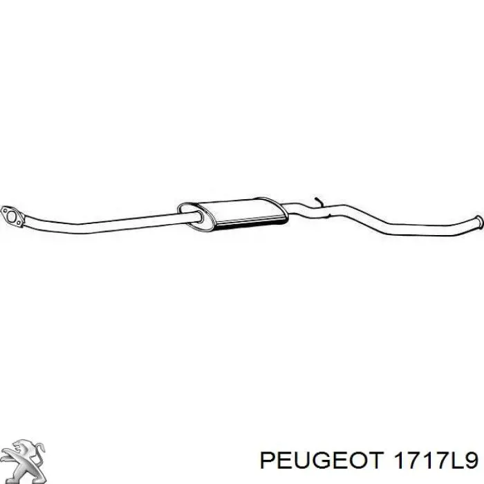 1717P3 Peugeot/Citroen silenciador del medio