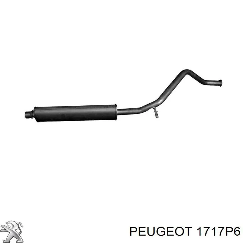 1717P6 Peugeot/Citroen silenciador del medio