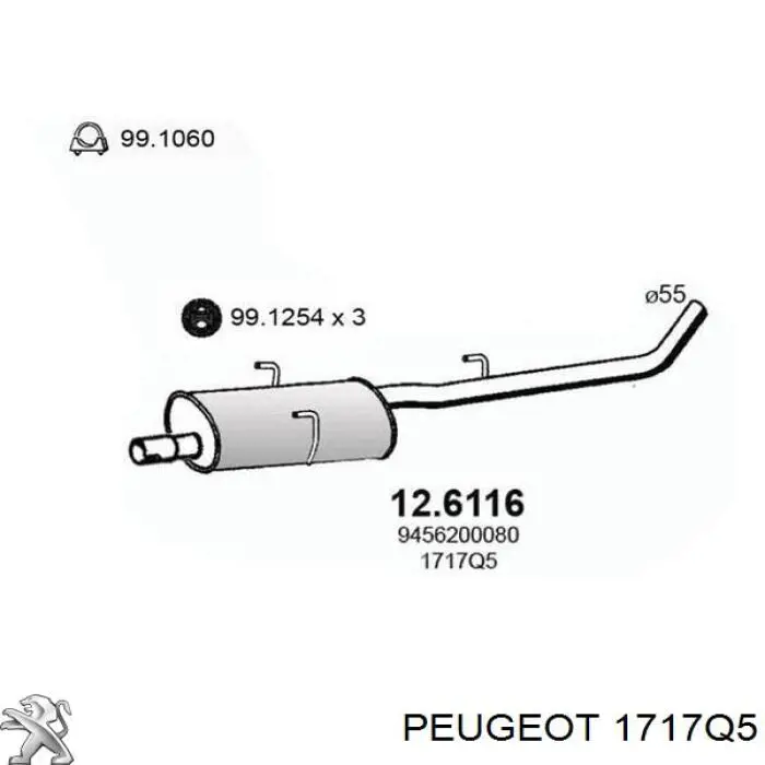 1717Q5 Peugeot/Citroen