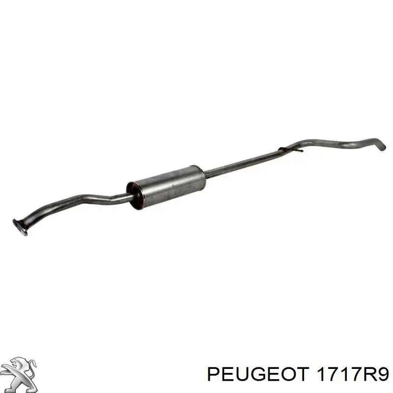 1717R9 Peugeot/Citroen silenciador del medio