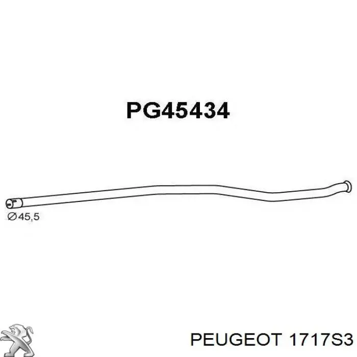 1717S3 Peugeot/Citroen silenciador del medio
