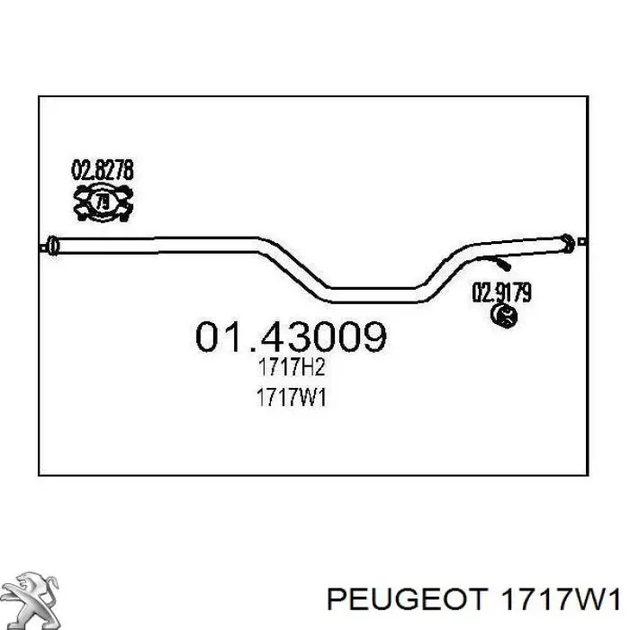 Comprar 1717W1 Peugeot/Citroen Silenciador central