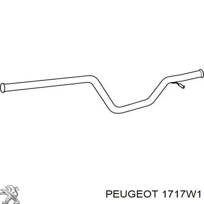Silenciador central Peugeot/Citroen 1717W1 precio, desde 61,84 EUR