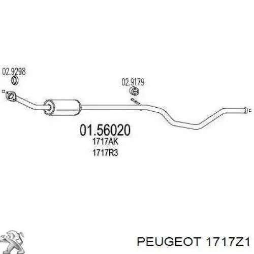 1717Z1 Peugeot/Citroen silenciador del medio
