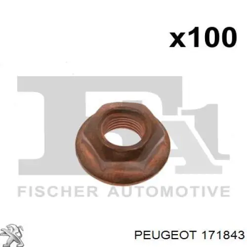 Comprar 171843 Peugeot/Citroen 