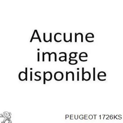 Comprar 1726KS Peugeot/Citroen Silenciador trasero