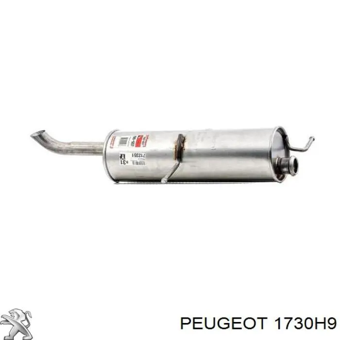 Silenciador trasero Peugeot/Citroen 1730H9 precio, desde 74,54 EUR