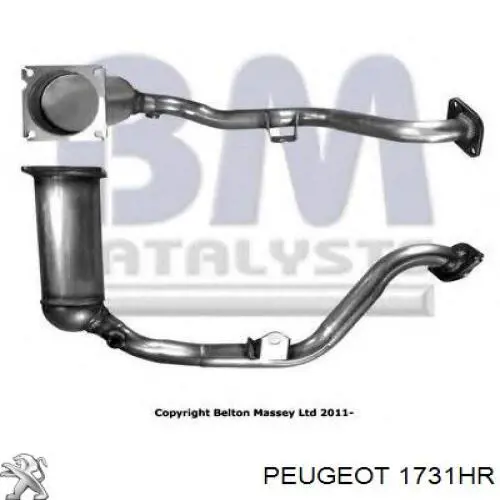 Catalizador Peugeot/Citroen 1731HR precio, desde 194,17 EUR