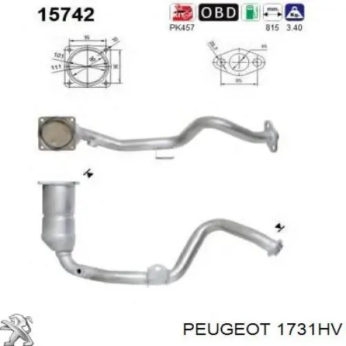 Catalizador Peugeot/Citroen 1731HV precio, desde 256,37 EUR