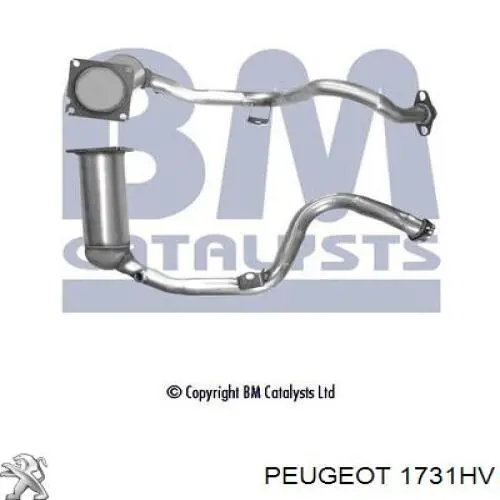 1731HV Peugeot/Citroen Catalizador de gasolina y diésel