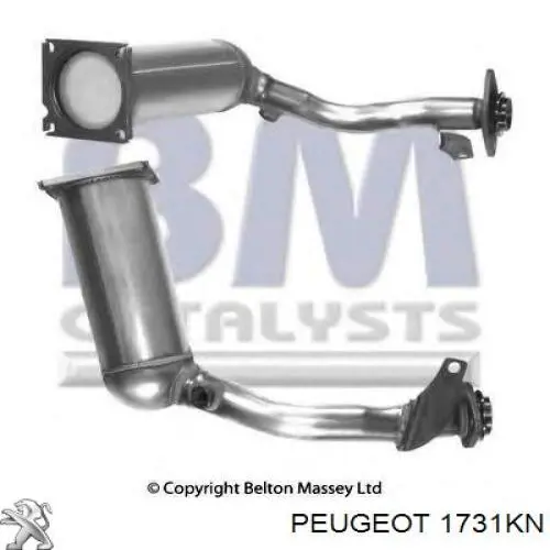 Comprar 1731KN Peugeot/Citroen Catalizador