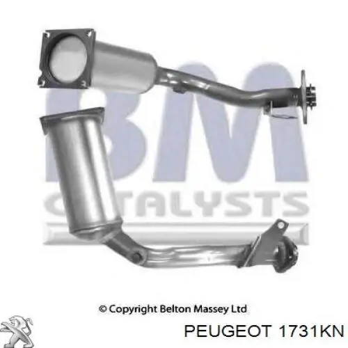 Catalizador 1731KN Peugeot/Citroen