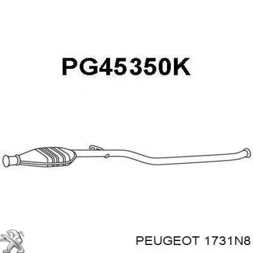 1731N8 Peugeot/Citroen silenciador del medio