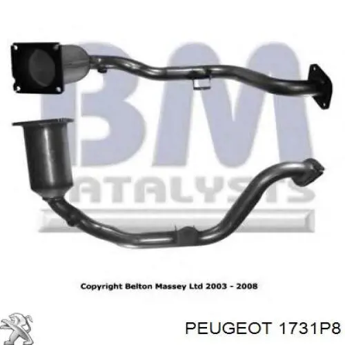 Comprar 1731P8 Peugeot/Citroen Catalizador