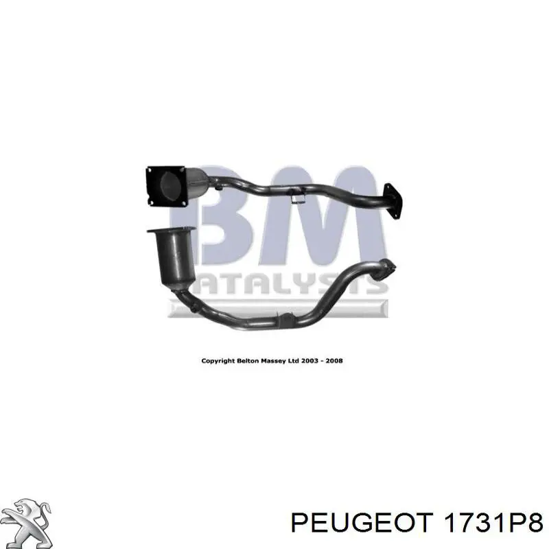 Catalizador Peugeot/Citroen 1731P8 precio, desde 194,32 EUR