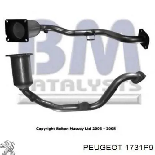 Catalizador Peugeot/Citroen 1731P9 precio, desde 194,17 EUR