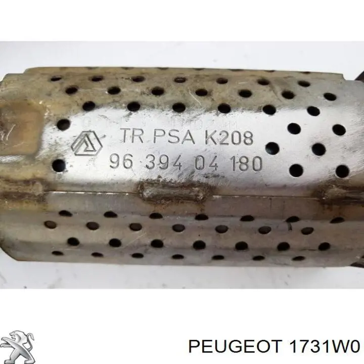 1731W0 Peugeot/Citroen catalizador