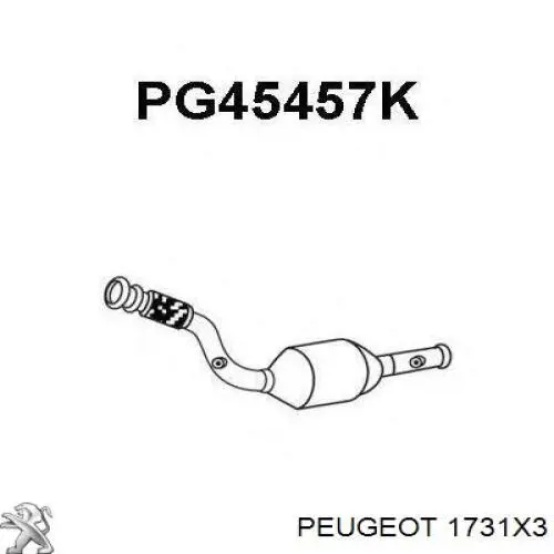 1731X3 Peugeot/Citroen catalizador