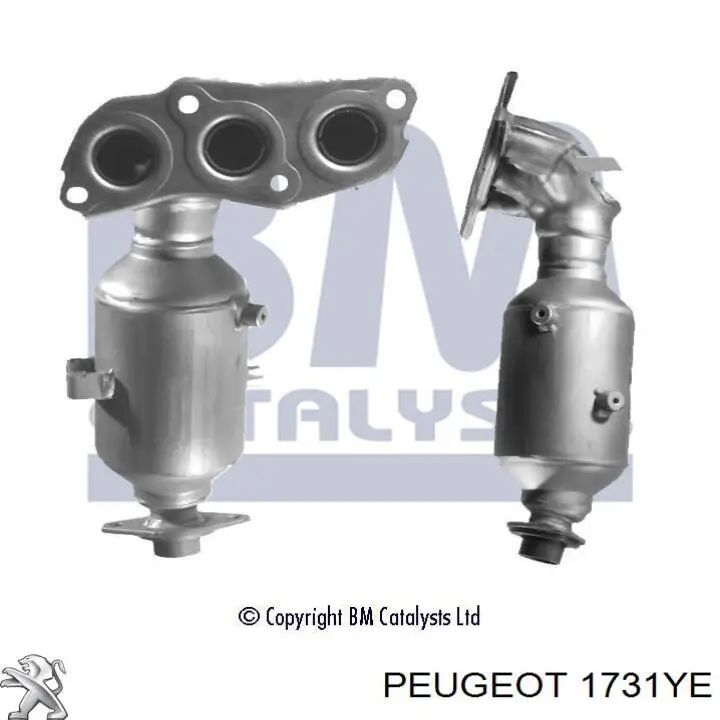 1731YE Peugeot/Citroen catalizador